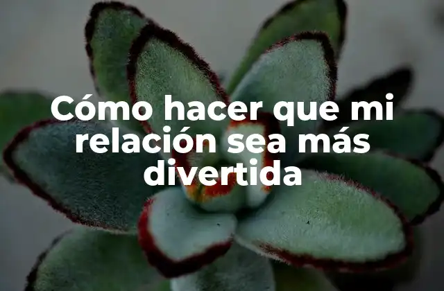 Cómo Hacer que Mi Relación Sea Más Divertida