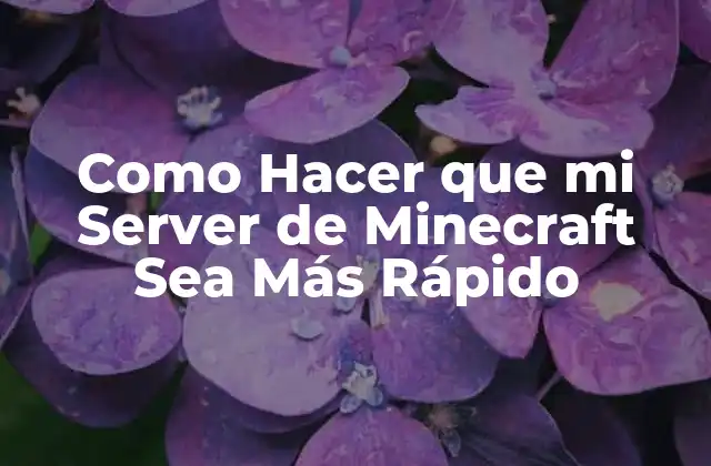 Como Hacer que Mi Server de Minecraft Sea Más Rápido