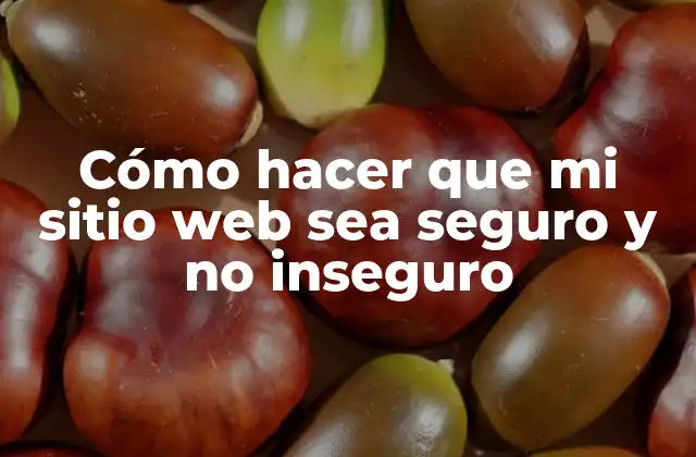 Cómo Hacer que Mi Sitio Web Sea Seguro y No Inseguro