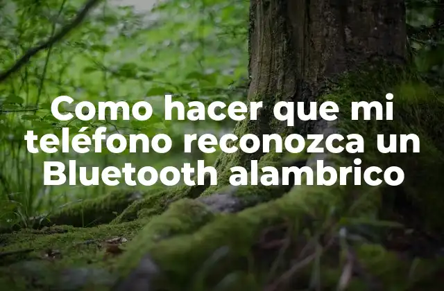 Como Hacer que Mi Teléfono Reconozca un Bluetooth Alambrico