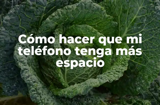 Cómo Hacer que Mi Teléfono Tenga Más Espacio