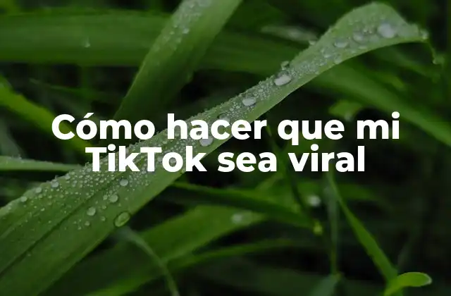 Cómo Hacer que Mi Tiktok Sea Viral
