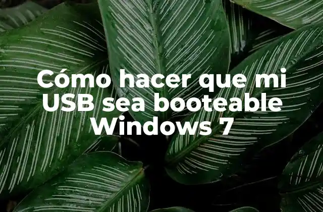 Cómo Hacer que Mi Usb Sea Booteable Windows 7