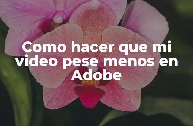 Como Hacer que Mi Video Pese Menos en Adobe