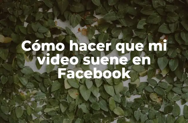 Cómo Hacer que Mi Video Suene en Facebook