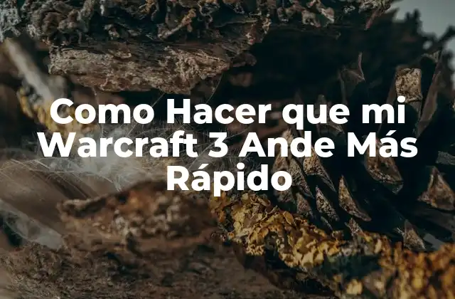 Como Hacer que Mi Warcraft 3 Ande Más Rápido