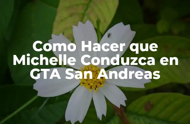 Como Hacer que Michelle Conduzca en Gta San Andreas
