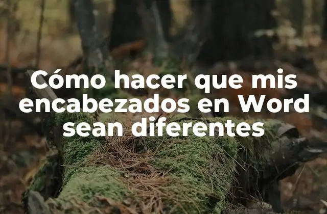 Cómo Hacer que Mis Encabezados en Word Sean Diferentes