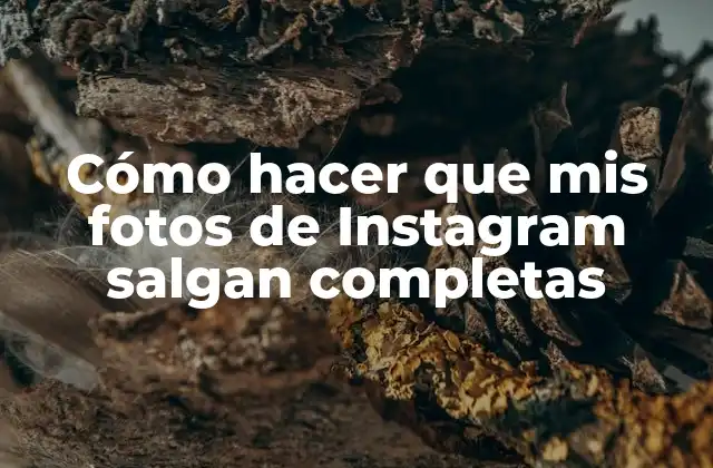 Cómo Hacer que Mis Fotos de Instagram Salgan Completas