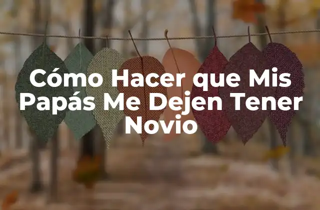 ¿Qué es Tener un Novio y Para Qué Sirve?