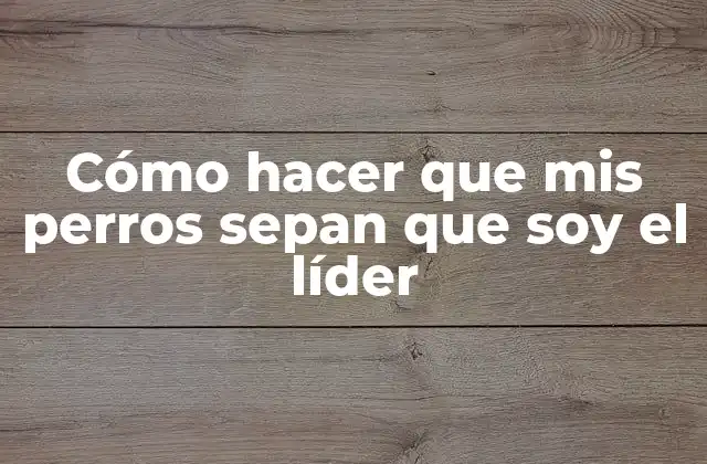 Cómo Hacer que Mis Perros Sepan que Soy el Líder