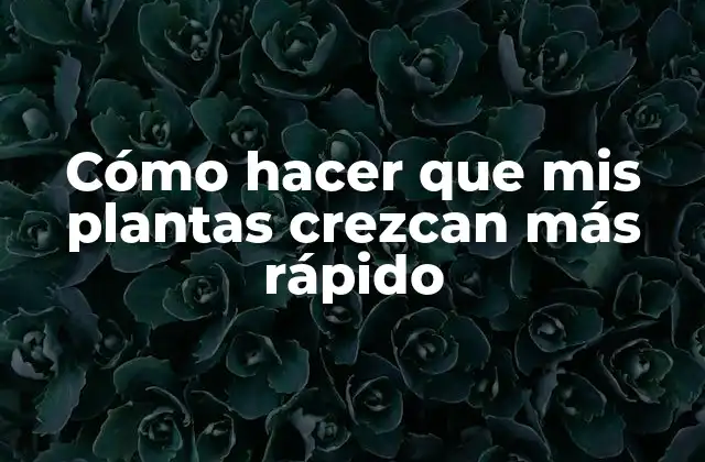 Cómo Hacer que Mis Plantas Crezcan Más Rápido