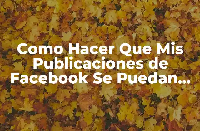 Como Hacer que Mis Publicaciones de Facebook Se Puedan Compartir