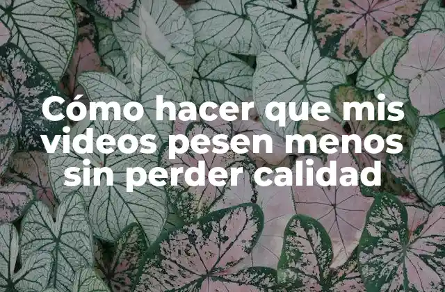 Cómo Hacer que Mis Videos Pesen Menos sin Perder Calidad 2 Cómo hacer que mis videos pesen menos sin perder calidad