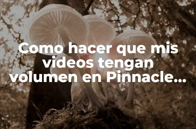 Como Hacer que Mis Videos Tengan Volumen en Pinnacle Studio