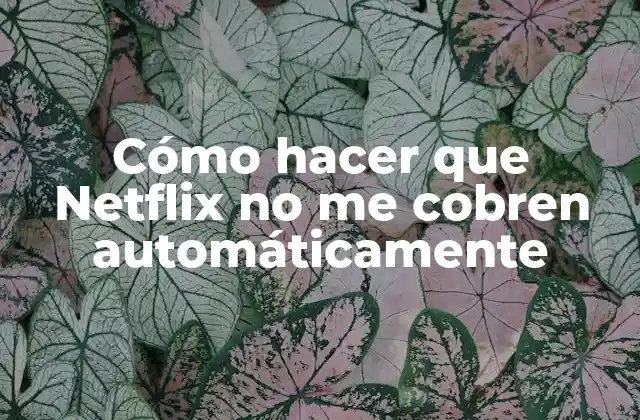 Cómo hacer que Netflix no me cobren automáticamente