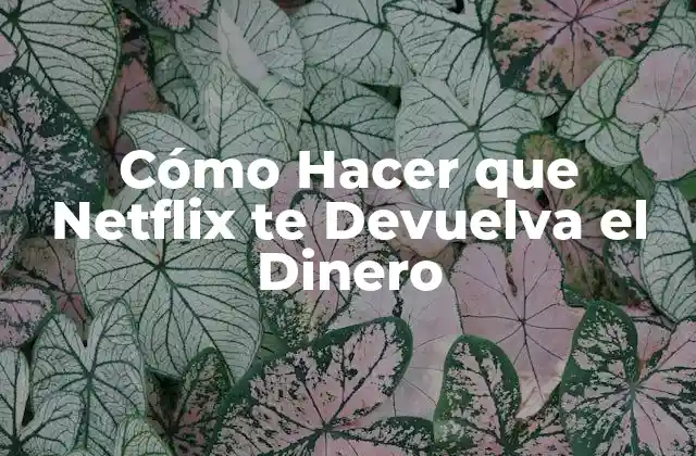 Cómo Hacer que Netflix Te Devuelva el Dinero