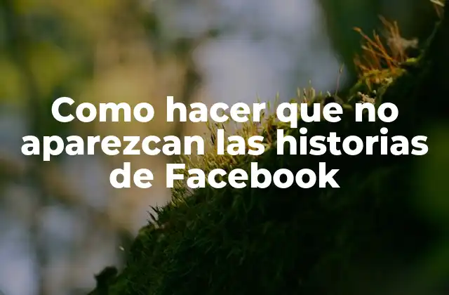 Como Hacer que No Aparezcan las Historias de Facebook 2 ¿Qué son las historias de Facebook?