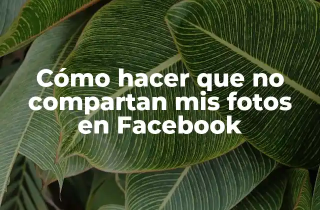 Cómo Hacer que No Compartan Mis Fotos en Facebook
