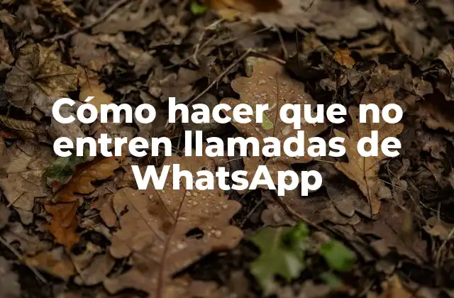 Cómo Hacer que No Entren Llamadas de Whatsapp