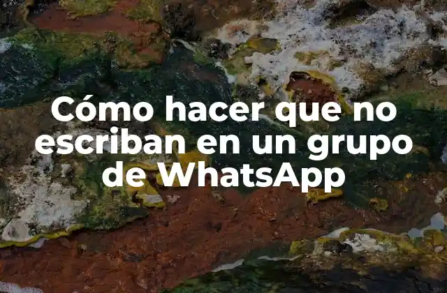 Cómo Hacer que No Escriban en un Grupo de Whatsapp