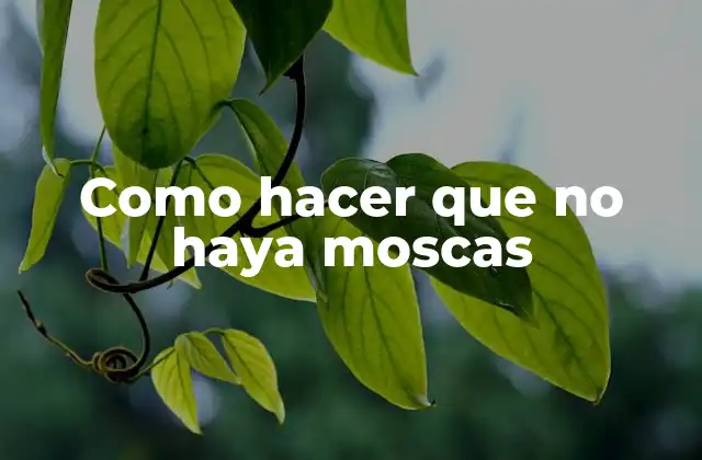 Como Hacer que No Haya Moscas