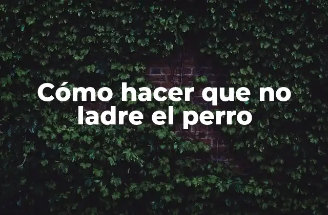 Cómo hacer que no ladre el perro