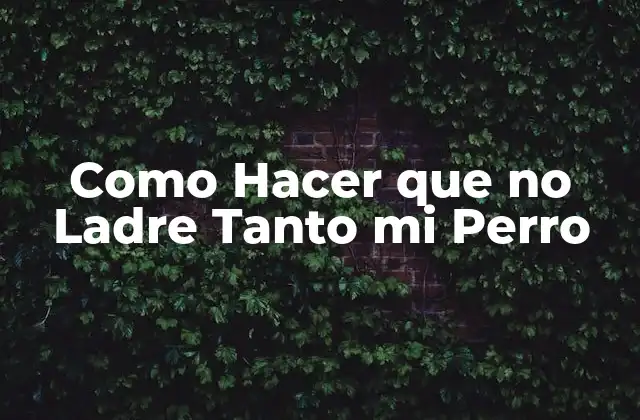 Como Hacer que No Ladre Tanto Mi Perro