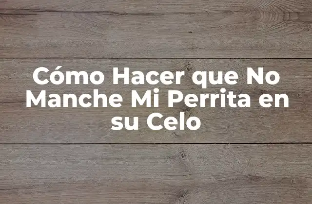 Cómo Hacer que No Manche Mi Perrita en Su Celo 2 Cómo Hacer que No Manche Mi Perrita en su Celos
