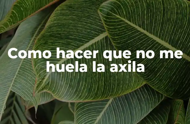 Como Hacer que No Me Huela la Axila