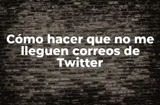 ¿Qué son los correos de Twitter y para qué sirven?