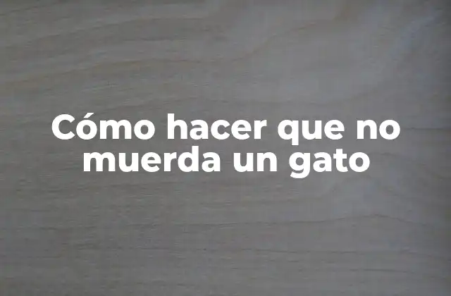 Cómo Hacer que No Muerda un Gato