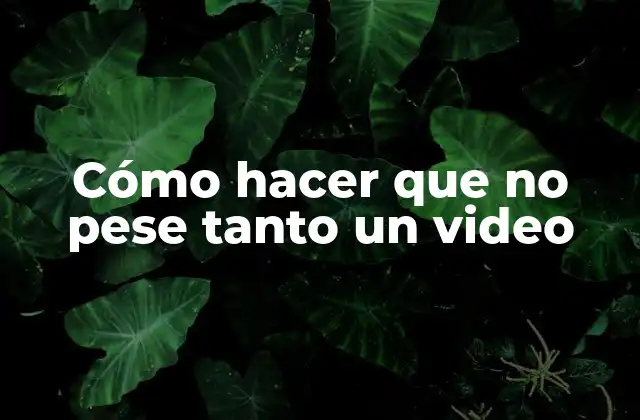 Cómo Hacer que No Pese Tanto un Video