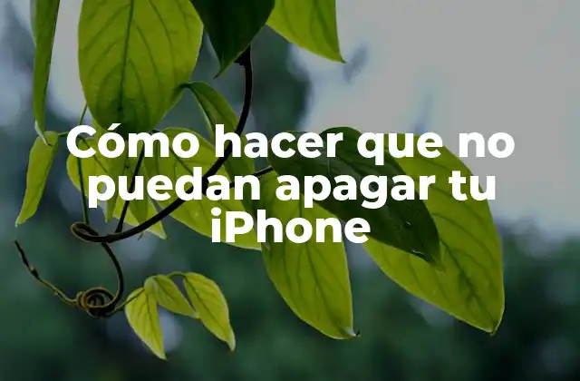 Cómo Hacer que No Puedan Apagar Tu Iphone