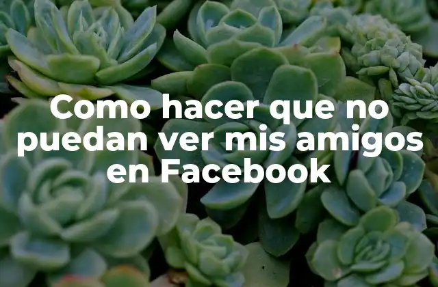 Como Hacer que No Puedan Ver Mis Amigos en Facebook