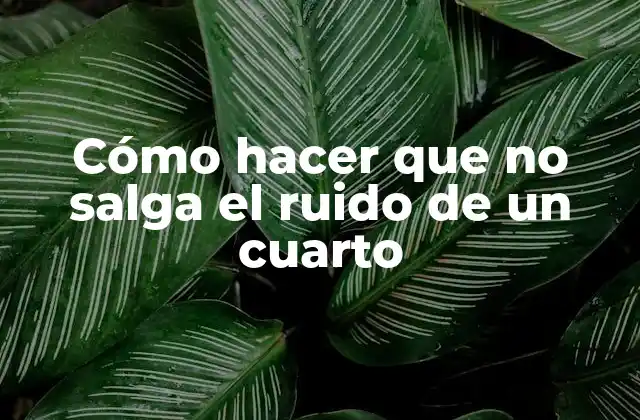 Cómo Hacer que No Salga el Ruido de un Cuarto 2 Reducción del ruido en un cuarto
