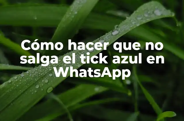 Cómo Hacer que No Salga el Tick Azul en Whatsapp