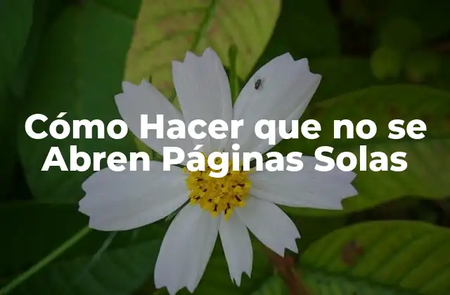 Cómo Hacer que No Se Abren Páginas Solas