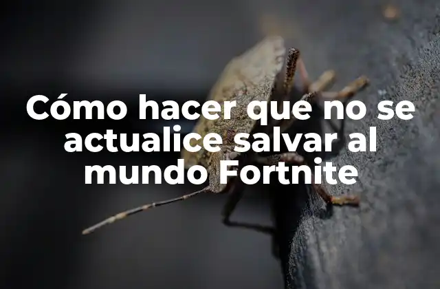 Cómo Hacer que No Se Actualice Salvar Al Mundo Fortnite