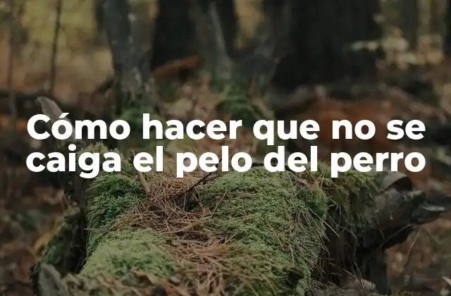 Cómo Hacer que No Se Caiga el Pelo Del Perro