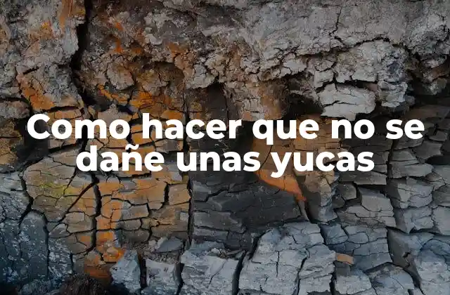 Como Hacer que No Se Dañe unas Yucas