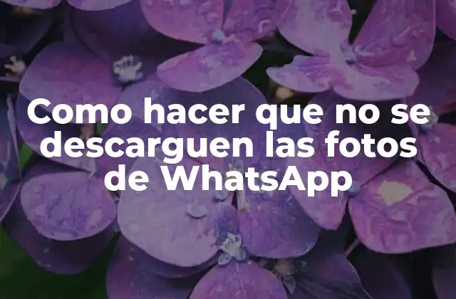Como Hacer que No Se Descarguen las Fotos de Whatsapp