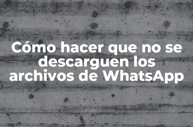 Cómo Hacer que No Se Descarguen los Archivos de Whatsapp