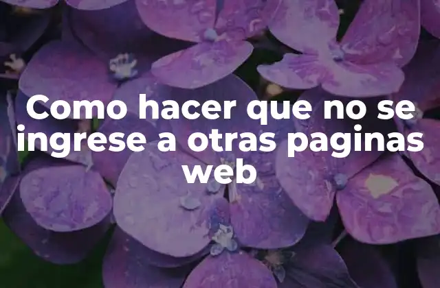 Como Hacer que No Se Ingrese a Otras Paginas Web