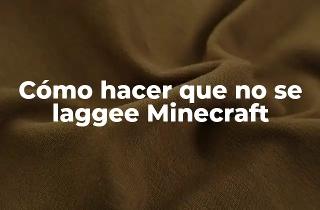 Cómo Hacer que No Se Laggee Minecraft