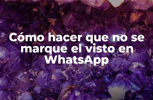 Cómo Hacer que No Se Marque el Visto en Whatsapp