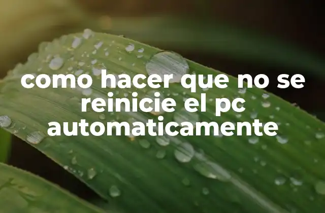 ¿Qué es el reinicio automático y por qué sucede?