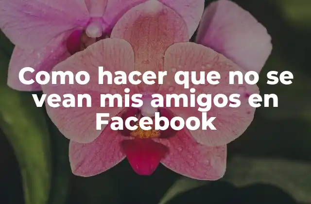 Como Hacer que No Se Vean Mis Amigos en Facebook