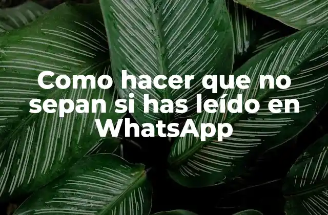 Como Hacer que No Sepan Si Has Leído en Whatsapp 2 Como hacer que no sepan si has leído en WhatsApp