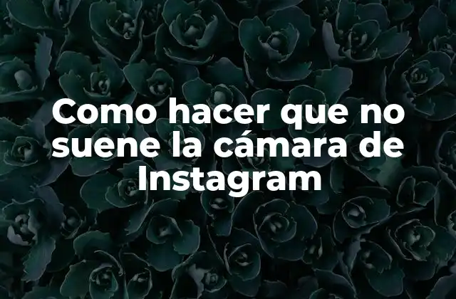 Como Hacer que No Suene la Cámara de Instagram